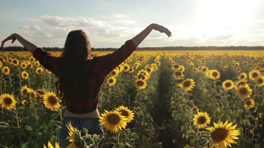 黑发的女人站在向日葵的田野里举起手臂享受大自然视频