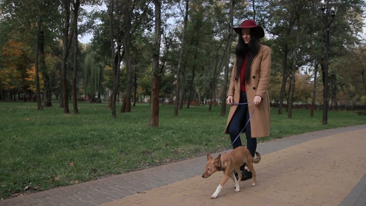 时髦年轻女性户外公园散步遛宠物狗视频