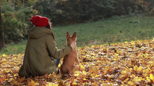 时髦女人和狗坐在公园里的黄色落叶上享受秋天风景27秒视频