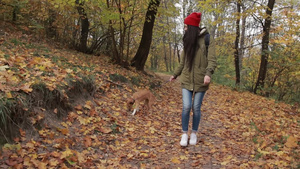 秋天女孩在树林里遛狗20秒视频