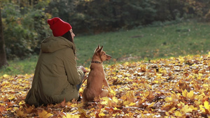 女孩和小狗坐在秋季公园里12秒视频