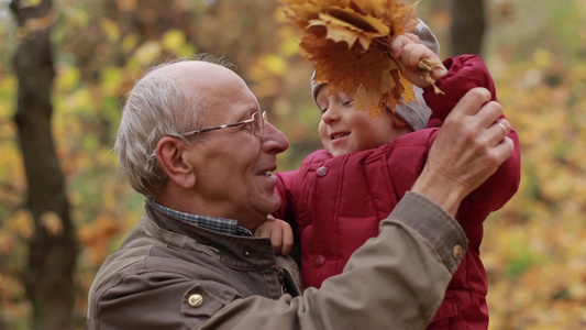 秋天祖父和可爱的孙子在公园玩耍视频