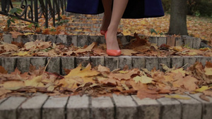 女性穿着高跟鞋走在秋叶上16秒视频