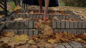 年轻女人在秋天的公园里走下楼梯15秒视频
