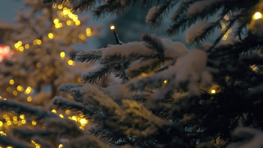 被雪覆盖灯光闪烁的圣诞树视频