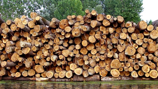 河边的木头堆视频