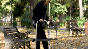 年长的女人从长凳上站起来在秋天的公园里户外散步27秒视频