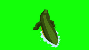 鳄鱼攻击背面视图绿幕12秒视频