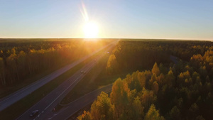 日落时一片混合的硬木和针叶林之间的公路的空中全景11秒视频