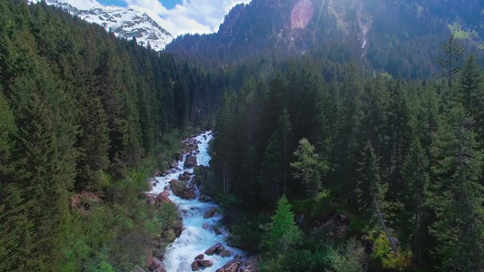 奥地利山区松林中河流全景图视频