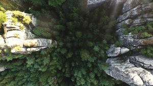 飞行鸟瞰穿越峡谷森林树木岩石全景15秒视频