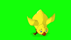拍着翅膀的可爱小黄鸡动画运动图形5秒视频