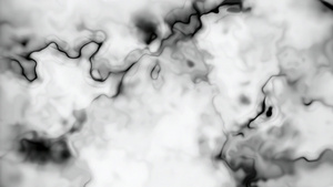 流动的黑色墨水条纹在白色的背景上可循环的13秒视频