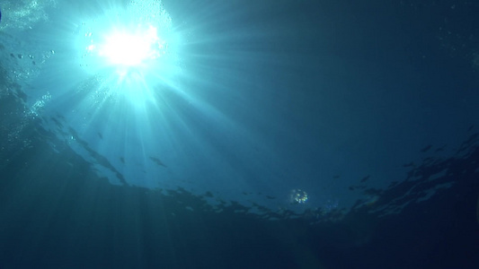 海底水中仰望天空太阳光线视频