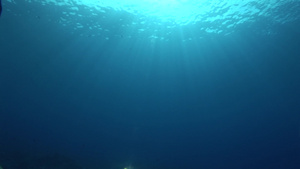 阳光光线透过海底11秒视频
