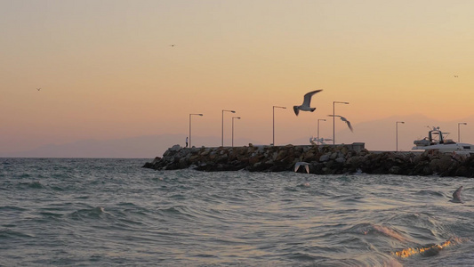 海鸥在波浪状的海面上飞行的慢动作镜头视频