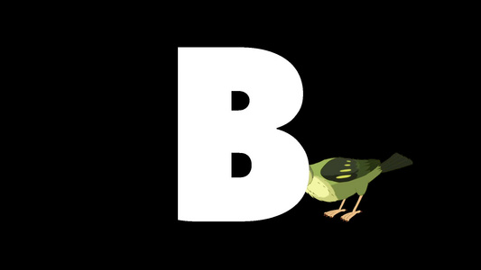 动画动物学英语字母表B阿尔法哑光运动图形卡通鸟在字母b的背景下视频