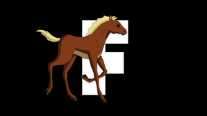 动画动物学英语字母表卡通白驹在字母f的前景15秒视频