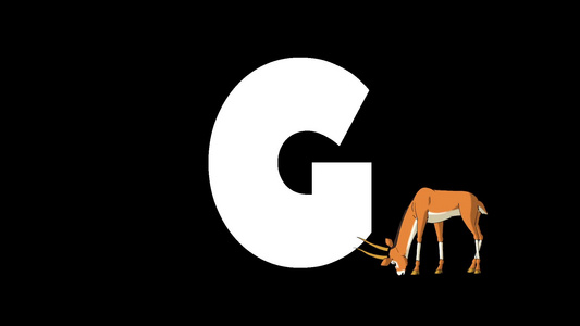 动画动物学英语字母表卡通羚羊在字母g的前景视频