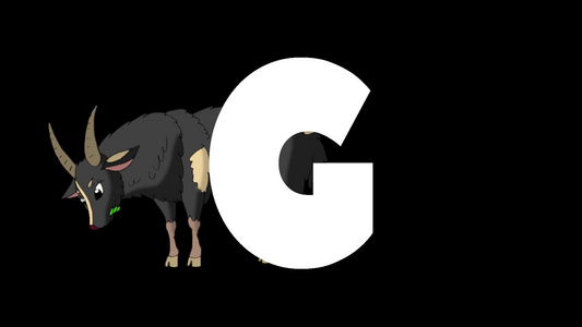 动画动物学英语字母G阿尔法哑光运动图形卡通山羊在字母g的背景下视频