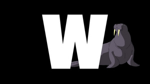 卡通海象在字母w的背景下15秒视频
