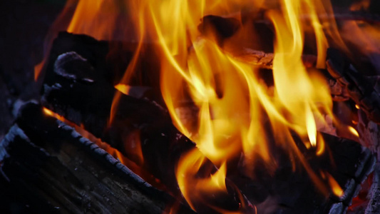 燃烧的火堆[木堆]视频