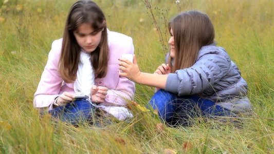 两个朋友在草地上聊天视频