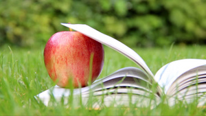 花园里的一本书上放着一个苹果5秒视频
