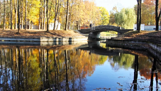 秋天公园里美丽的风景[迷人]视频