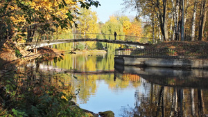 站在美丽的秋天城市公园桥上的女人20秒视频