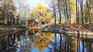 秋天城市公园里美丽的湖和树后木屋18秒视频