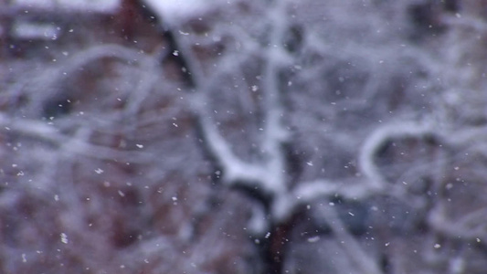 雪花飘落视频