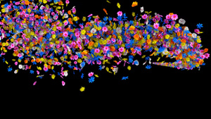 转场花朵粒子素材12秒视频