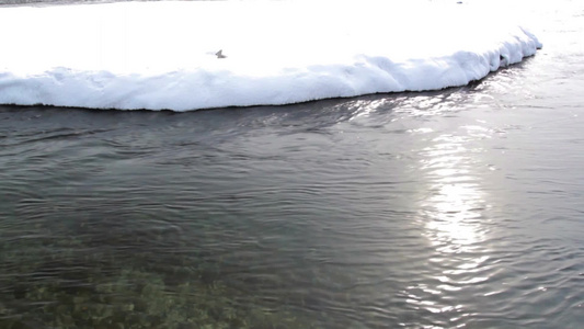 寒冷冬季积雪旁缓慢流动的河水视频