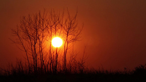美丽的日落下的田园风光31秒视频