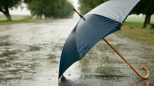 下雨天在路边的雨伞14秒视频