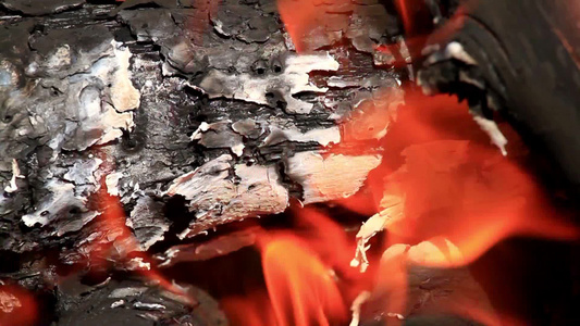 燃烧的火堆[木堆]视频