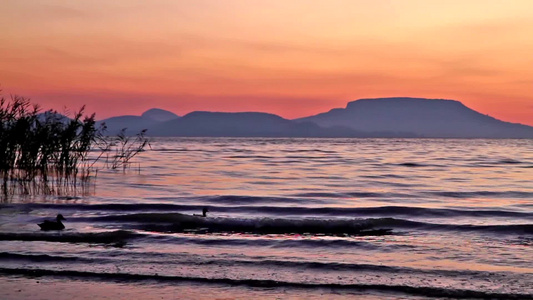 匈牙利美丽的巴拉顿海岸湖日出风景视频