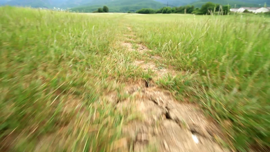 沿着春天的田野走乡村道路视频