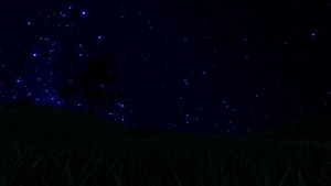 草地和星空上的树影19秒视频