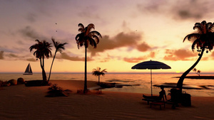 海滩上的女人带着手提箱在日落时享受美景20秒视频
