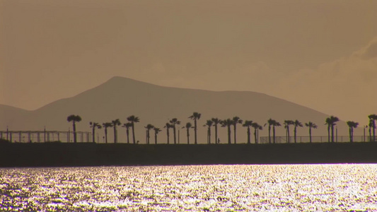 日落时大海背景上的棕榈树视频