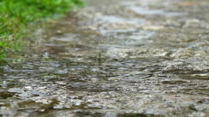 春天的淅淅沥沥的小雨22秒视频