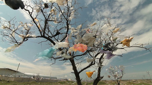 垃圾填埋场附近的树木覆盖塑料袋28秒视频
