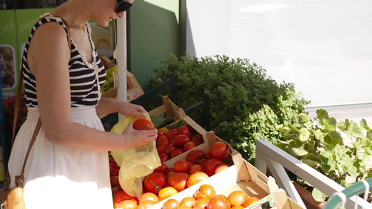 年轻女子在露天市场购买新鲜蔬菜选择成熟的红色西红柿视频