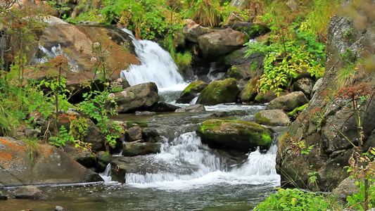 山间流淌的溪水[涧水]视频