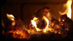 在壁炉中燃烧的木柴的特写29秒视频