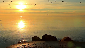 匈牙利巴拉顿湖上美丽的日出18秒视频