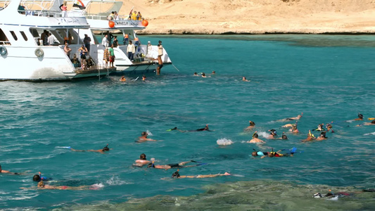 埃及胡尔哈达一群人在游艇附近的沿海水域游泳视频