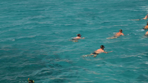 游客在埃及胡尔加达纯净海水中浮潜27秒视频